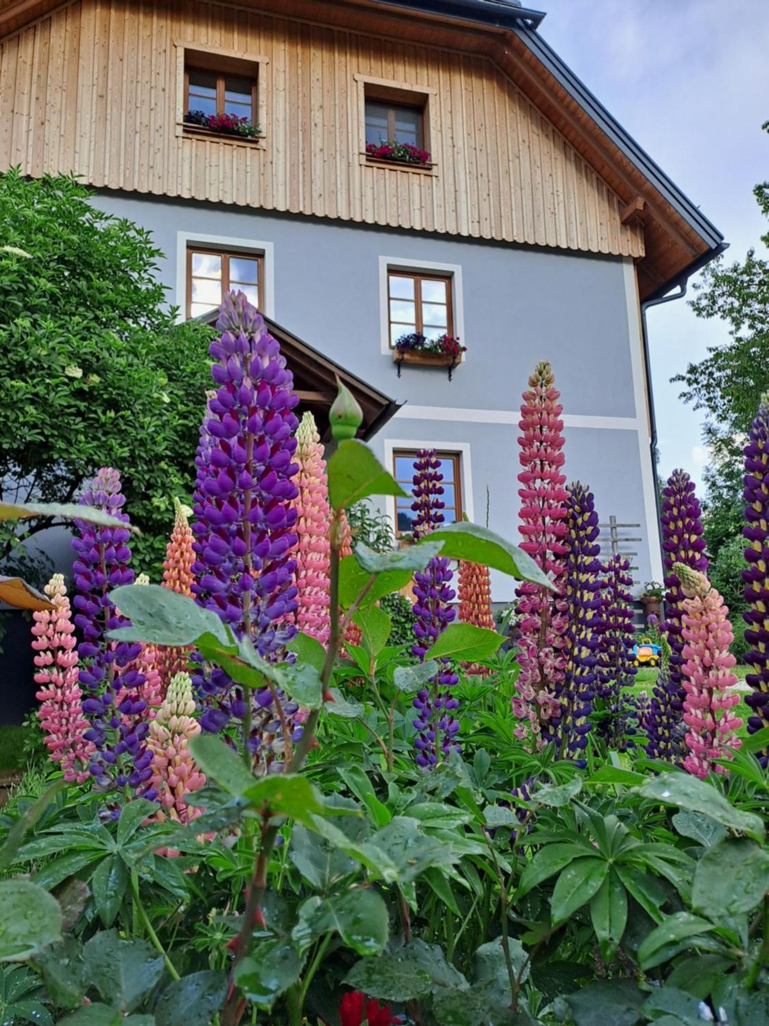 Urlaub Im Stall Irdning Zewnętrze zdjęcie